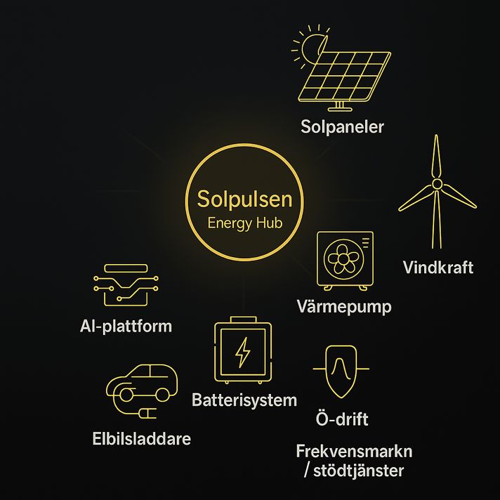 Solpulsen Energy Hub Ekosystem